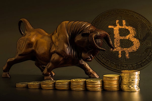 Bull Run Amid COVID-19