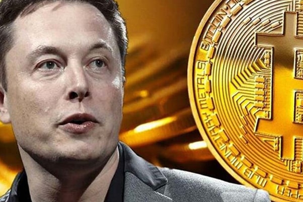Is elon crypto a good investment is blockfi a crypto wallet