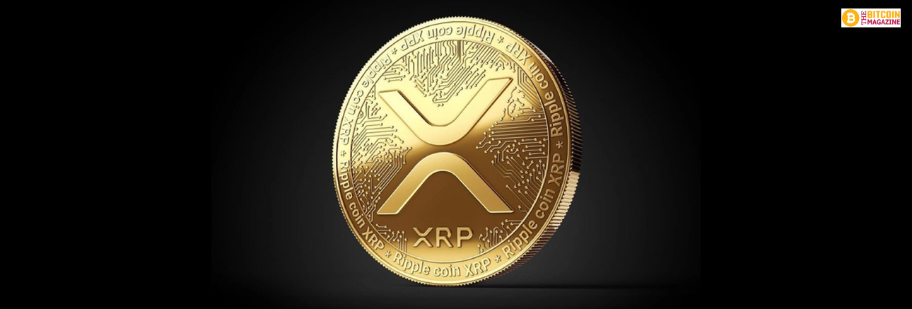 XRP Review: All You Need To Know About It