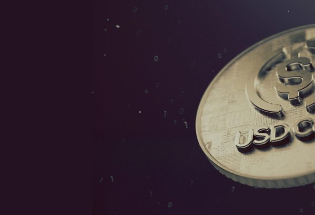 What Is a USD Coin? All You Need To Know About USD Coin