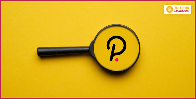 What Is Polkadot