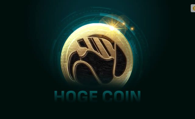 how to buy hoge coin