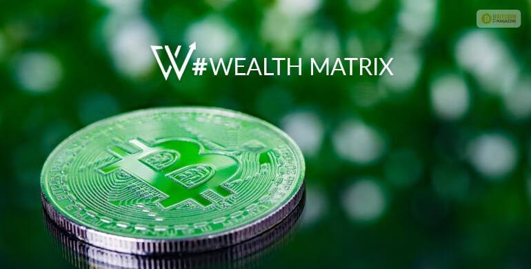 Wealth Matrix