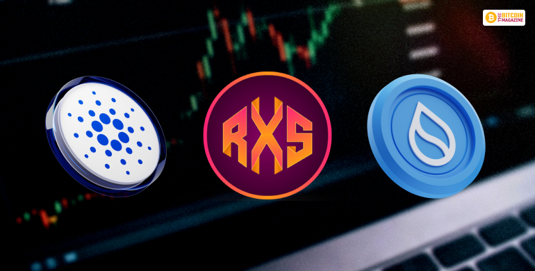 RXS Could Be The Next Big Name In The Industry.
