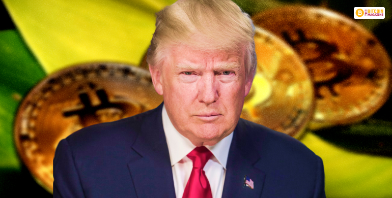 Trump Meme Coin Surged By 60% Due To Risky Marketing 