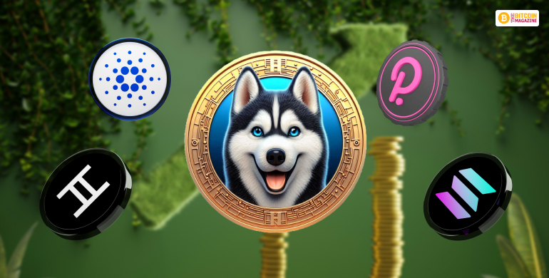 Top 5 Cryptos
