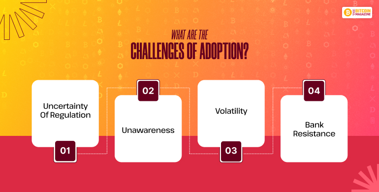 What are the Challenges of Adoption